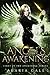Angel's Awakening (Awakening #1)