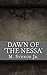 Dawn of 'The Nessa'