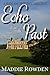 Echo from the Past: A Darcy...