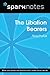The Libation Bearers (SparkNotes Literature Guide) (SparkNotes Literature Guide Series)