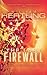 The Last Firewall (Singularity #3)