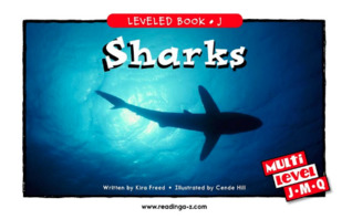 Sharks
