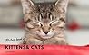 Kittens & The Cat...