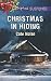 Christmas in Hiding