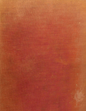 Northern Catholicism: Centenary Studies in the Oxford and Parallel Movements (Hardcover)