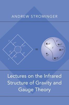 Lectures on the Infrared Structure of Gravity and Gauge Theory (Kindle Edition)