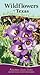 Wildflowers of Texas: Your ...