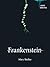 Frankenstein: A Graphic Hor...