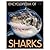 ENCYCLOPEDIA OF SHARKS by Richard Kelly