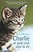 Charlie, un petit chat pour la vie