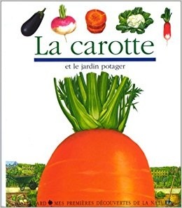 La carotte et le jardin potager