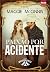Paixão por Acidente (Whisper Creek #1)