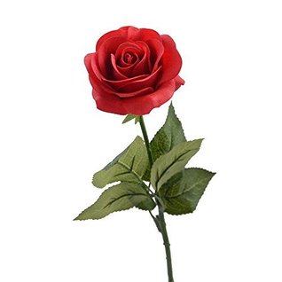 The Third Austen Summer Rose in Bloom (ebook)