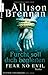 Furcht soll Dich begleiten (No Evil Trilogy, #3)