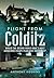Flight from Colditz: Would the Second World War’s Most Audacious Escape Plan Have Succeeded?