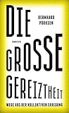 Die große Gereiztheit by Bernhard Pörksen