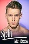 Split (Red and Blue Chronicles, #1)