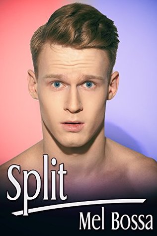 Split (Red and Blue Chronicles, #1)