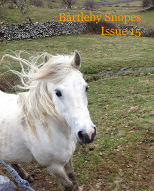 Bartleby Snopes Issue 15
