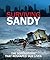 Surviving Sandy by Ambient Funding
