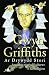 Ar Drywydd Stori - Atgofion Newyddiadurwr o Geredigion by Gwyn Griffiths