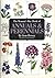 The Woman's Day Book of Annuals and Perennials