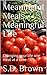 Meaningful Meals, Meaningful Life by S.D. Brown