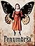 Penumbria 40