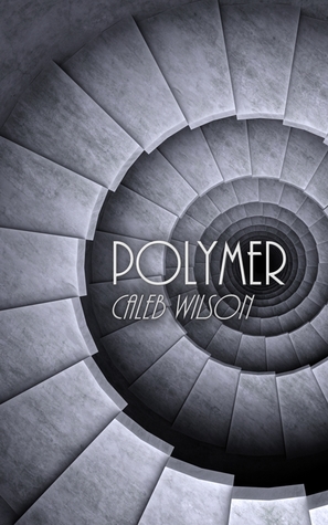 Polymer (Paperback)