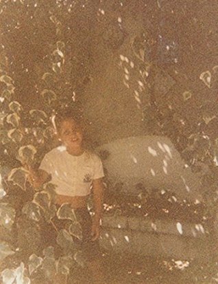 Where mimosa bloom (Hardcover)