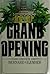 Grand opening: A novel