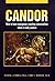 Candor: How to have courage...