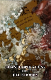 Chance Operations (Paperback)