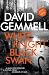 White Knight/Black Swan by Ross Harding White Knight/Black Swan by Ross Harding