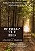 Between the Lies: A Novel