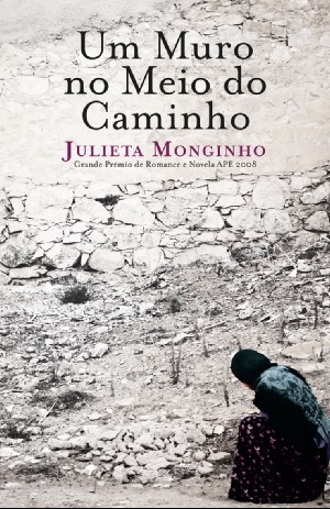 Um Muro no Meio do Caminho (Paperback)