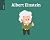 Pocket Bios: Albert Einstein