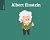 Pocket Bios: Albert Einstein