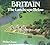 Britain the Landscape Below