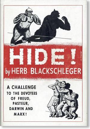 Hide! (Hardcover)