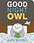 Good Night Owl