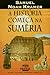 A História Começa na Suméria