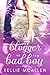 The Blogger vs the Bad Boy (Date with Destiny Collection, #2)