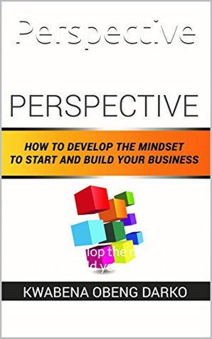 Perspective: How to develop the mindset to start and build your business (Kindle Edition)
