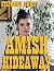 Amish Hideaway: A Collectio...
