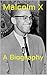 Malcolm X by Michael Berry