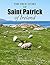 The True Story of Saint Patrick of Ireland by Julie McDonald