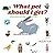 What pet should I get? สัตว...