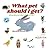 What pet should I get? สัตว์เลี้ยงอะไรดี?: Dual Language Edition Thai-English