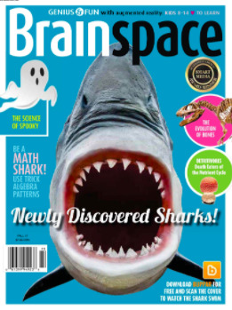 Brainspace Magazine (Unknown Binding)